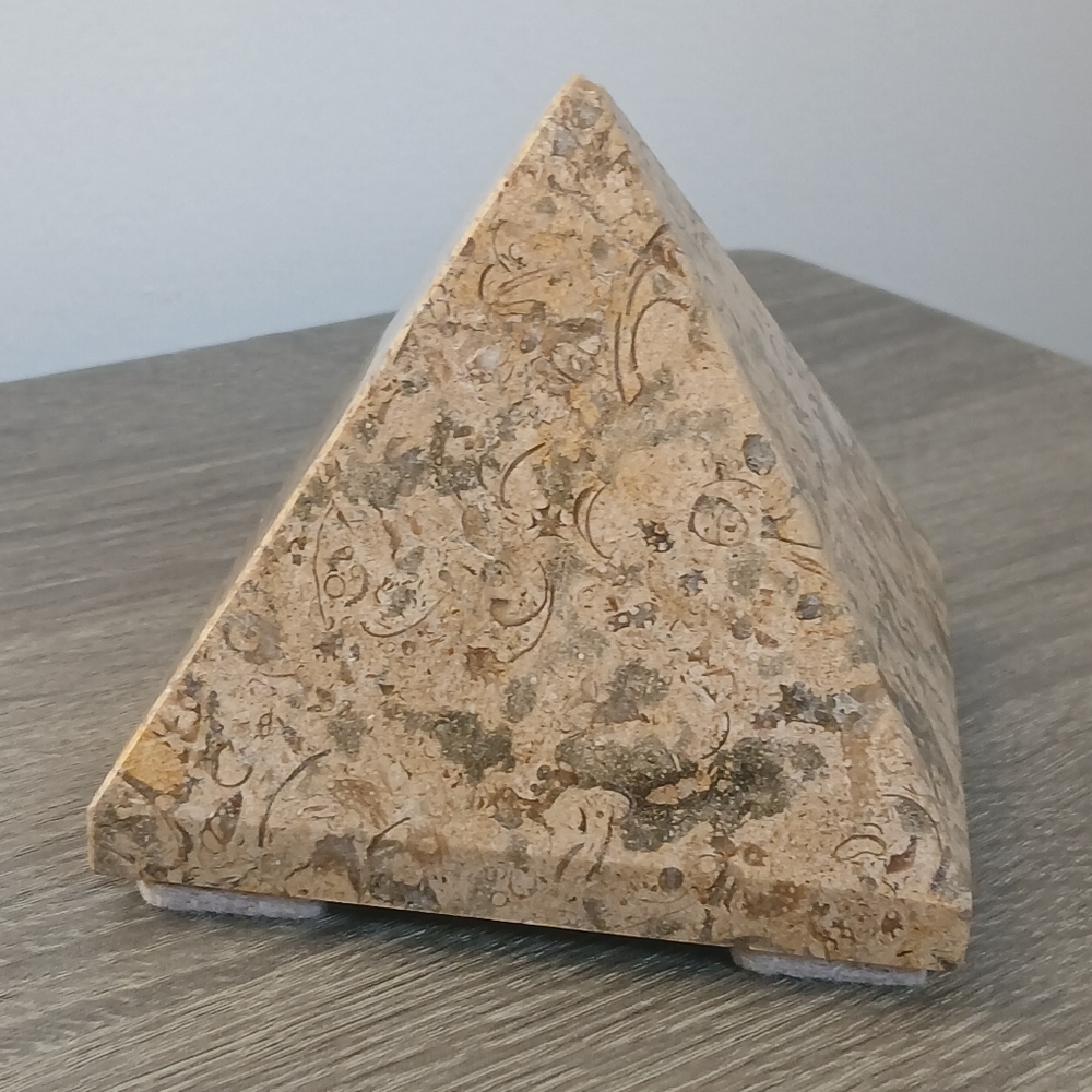 Large Fossilized Coral Jasper Crystal Pyramid Metaphysical Healing Power Aura